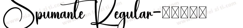 Spumante Regular字体转换